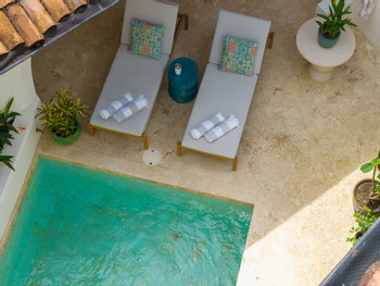 Casa Hydra