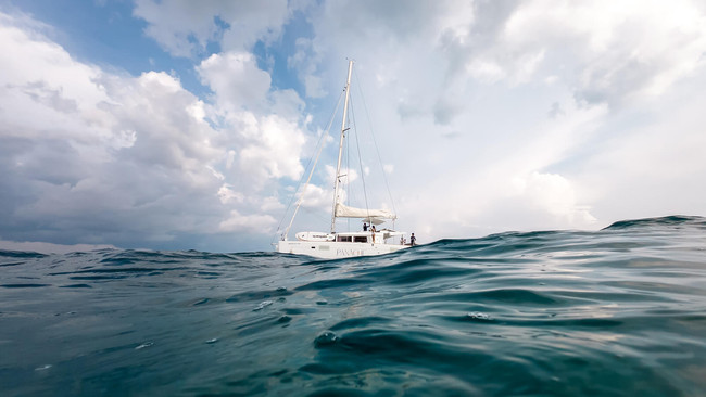 Panache Catamaran Sailing Private Tour photo