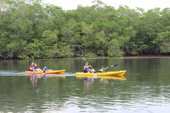 Flamingo Ocean Kayaking  photo 2