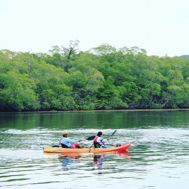 Flamingo Ocean Kayaking  photo