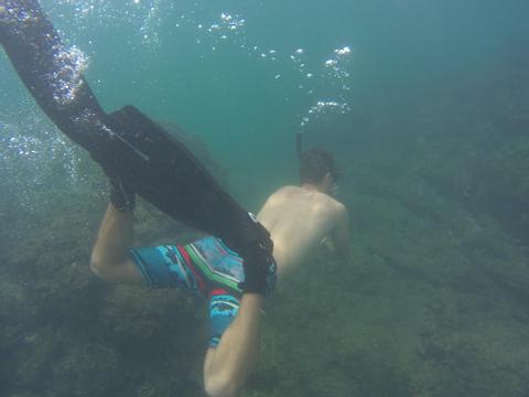 Snorkeling Catalina Islands Costa Rica