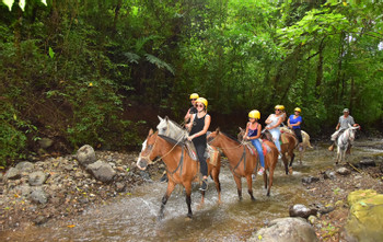 Jaco Jungle Horseback Riding photo 3