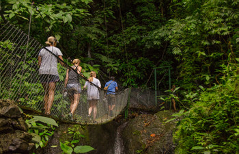 Jaco Jungle Horseback Riding photo 4