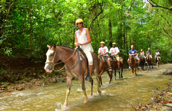Jaco Jungle Horseback Riding photo 2