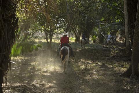 Hacienda Arío Cowboy Experience