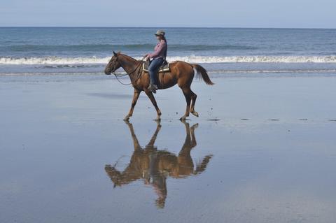 Cabalgata en Hacienda Arío 