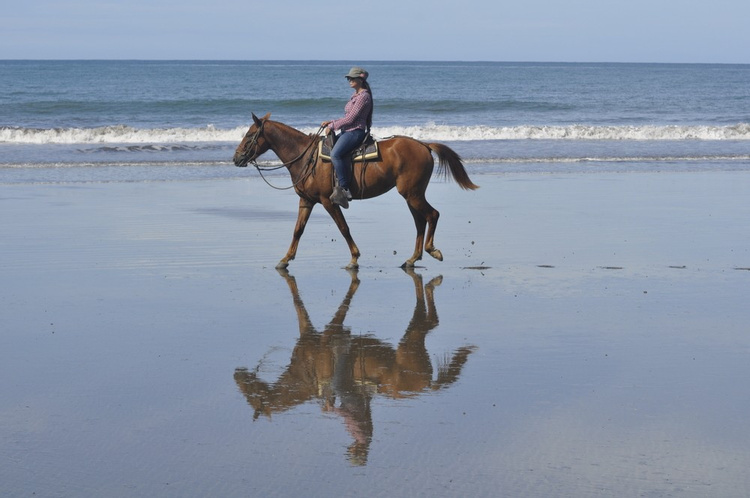Cabalgata en Hacienda Arío  photo