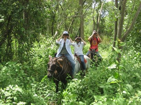 Hacienda Arío Horseback Tour Costa Rica