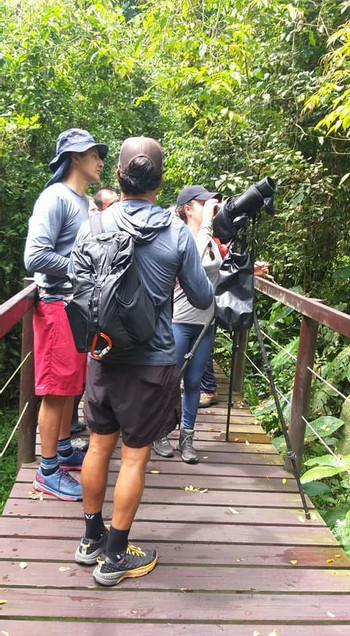Caribbean Bird Watching Tour photo 2
