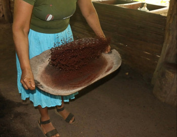 Chocolate and Waterfall Tour photo 3