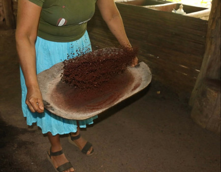 Chocolate and Waterfall Tour photo 3