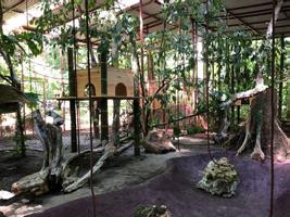 Jaguar Rescue Center Tour (2 Private Tour) photo 3