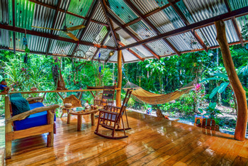 Congo Bongo Dream Deluxe House