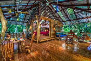Congo Bongo Dream Deluxe House