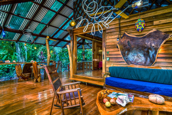 Congo Bongo Dream Deluxe House