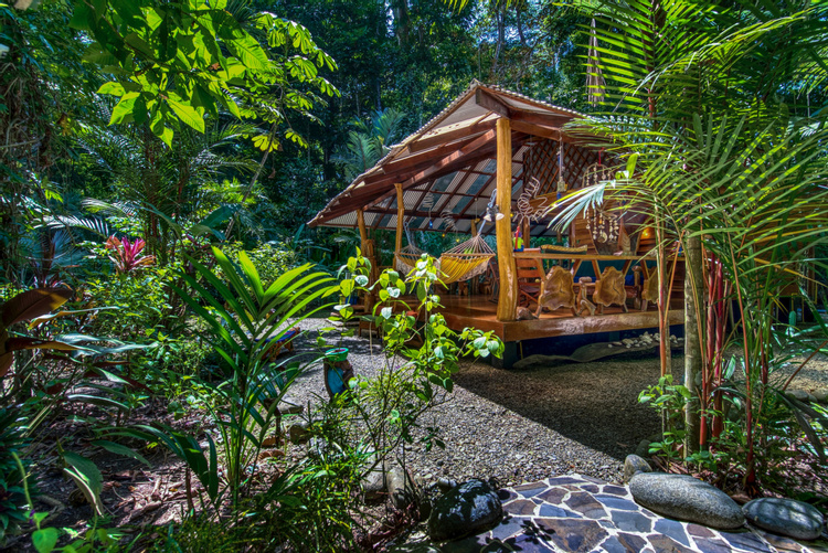 Congo Bongo Dream Deluxe House photo