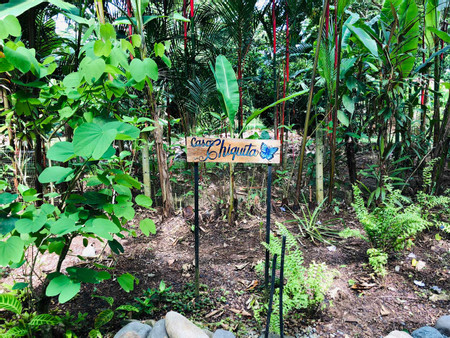 El Jardin de Playa Negra