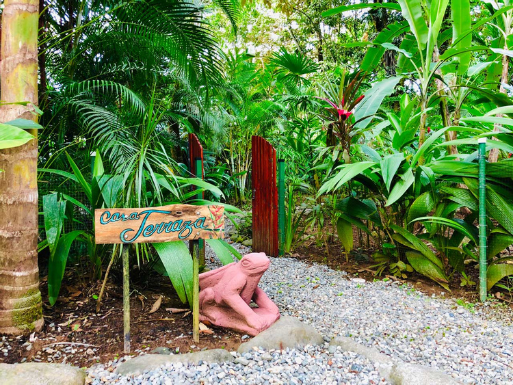 El Jardin de Playa Negra photo