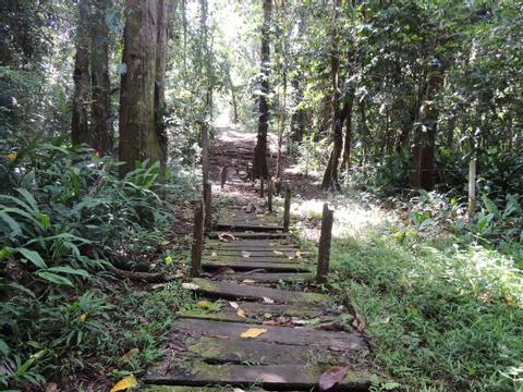 Gandoca Manzanillo Refuge Jungle Hike