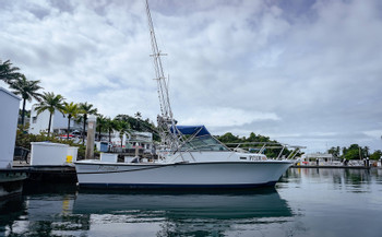 Quepos Sportfishing Tour Isabella Boat (28") - Full Day photo 5