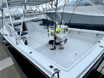 Quepos Sportfishing Tour Moonwalker Boat (33") - Full Day photo 4