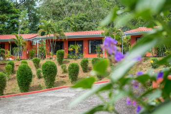 Pacific Paradise Resort photo 2