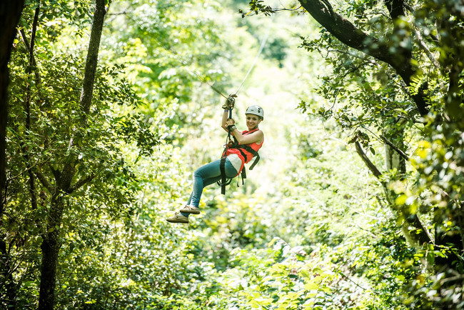 Canyon Canopy Tour photo