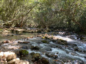 La Leona Waterfall Adventure Tour photo 2