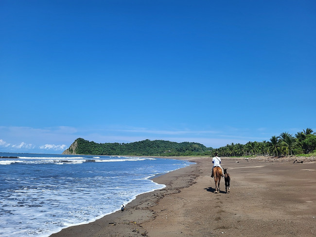 Beach Tour Horseback Riding photo