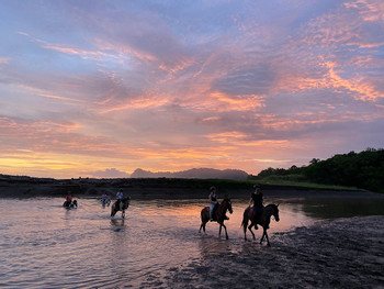 Beach Tour Horseback Riding photo 5