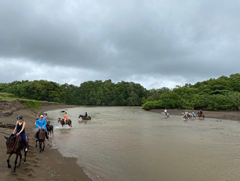 Beach Tour Horseback Riding photo 3