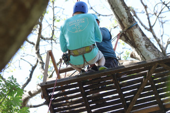 Canopy Tour (10 Lines - 1 Rappel) photo 4