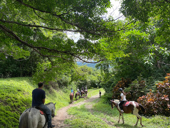 Secluded Beach Horseback Riding Tour photo 3