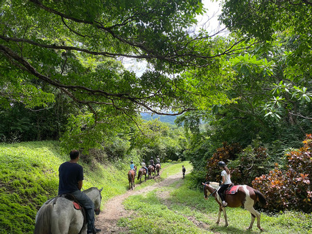 Secluded Beach Horseback Riding Tour photo 3