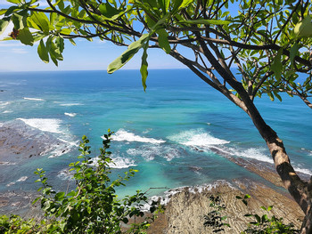 Secluded Beach Horseback Riding Tour photo 4