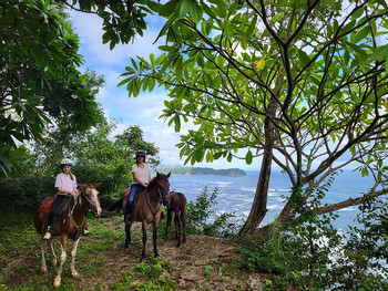 Secluded Beach Horseback Riding Tour photo 2
