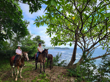Secluded Beach Horseback Riding Tour photo 2