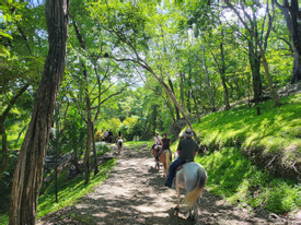 Secluded Beach Horseback  Riding Tour