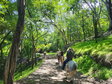 Secluded Beach Horseback Riding Tour