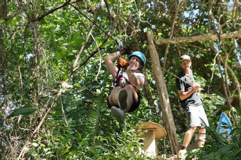 Canopy (5 Lines) photo 5