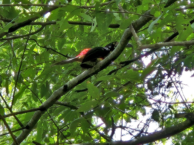 Wingnuts Hiking Photo