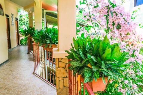 Hotel Giada Costa Rica