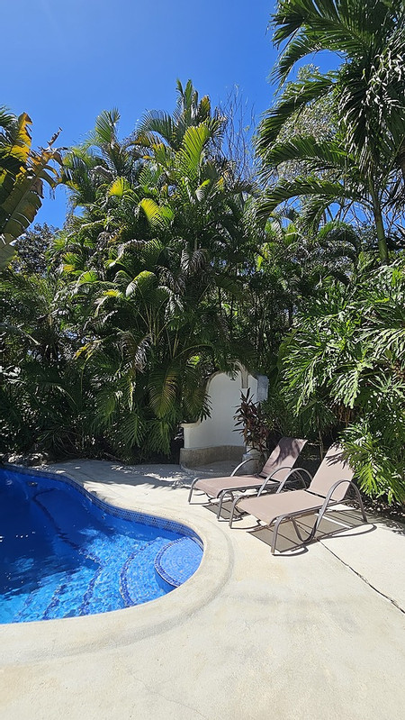 Villa Bruga photo 3