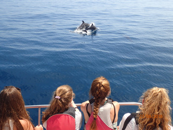 Catamaran Seafari and Snorkel Tour photo 5