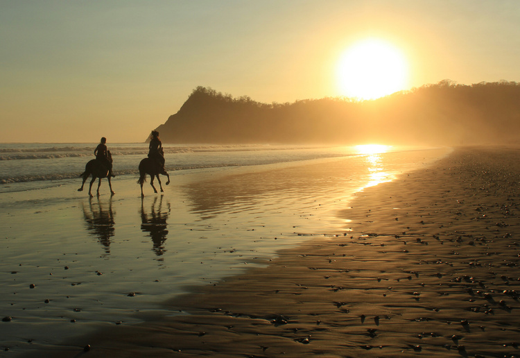 Jungle and Barigona Beach Horseback Riding Tour photo