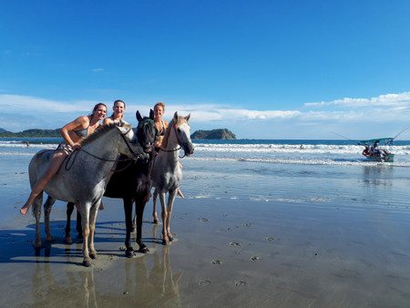 Jungle and Barigona Beach Horseback Riding Tour photo 3