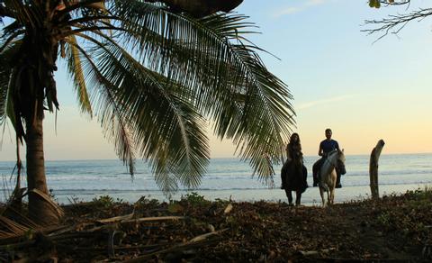 Jungle and Buenavista Beach Horseback riding Costa Rica