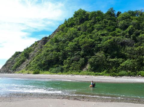Jungle and Buenavista Beach Horseback riding Costa Rica