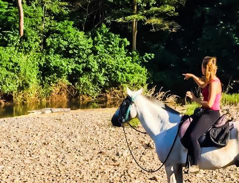 Jungle and Buenavista Beach Horseback riding Costa Rica