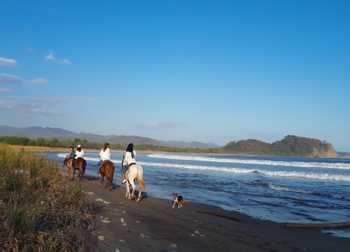 Jungle and Buenavista Beach Horseback riding